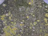 image of grave number 797198